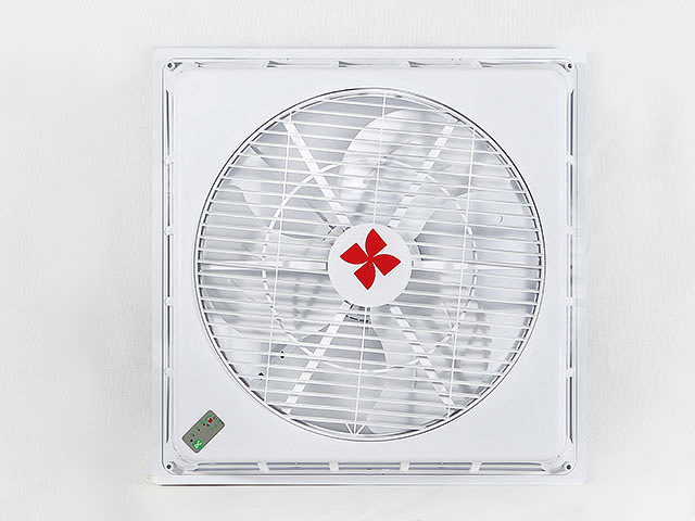 我的的的的的的的的的的的的的的的的的的的的   白白白白白白白白白白白r